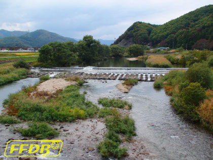 会津大川（特設釣り場）の入渓ポイント－丹藤橋（S１）