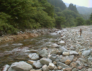 熊野川のフライフィッシング