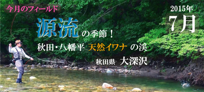 源流の季節！秋田・八幡平 天然イワナの渓