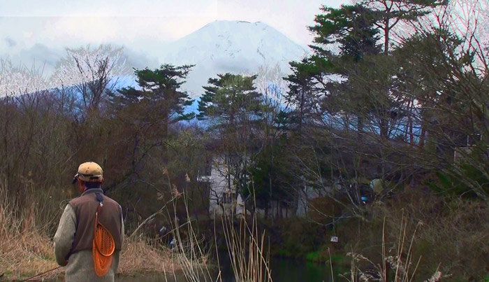 桂川と富士山