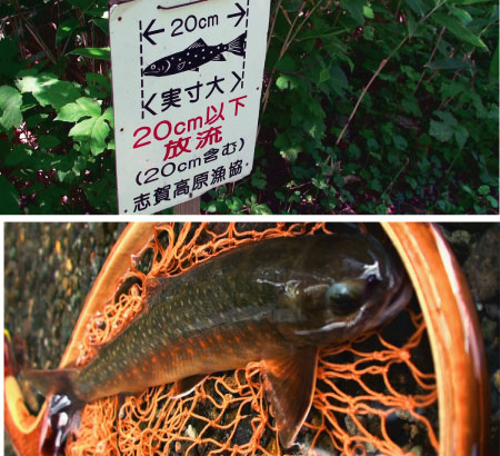 雑魚川の遊漁規則