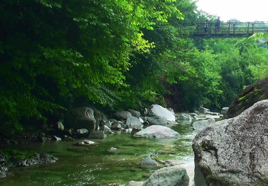 駒ケ岳神社下の吊り橋