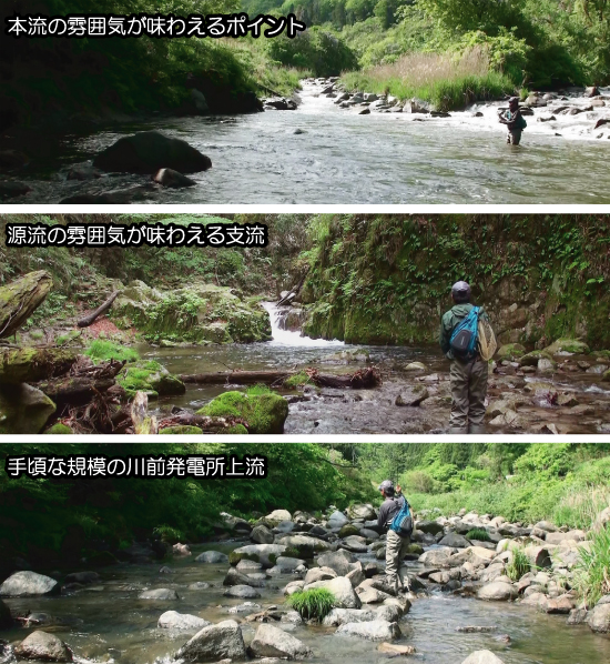 夏井川水系の渓流