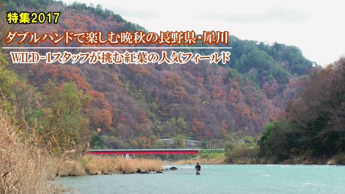 ダブルハンドで楽しむ晩秋の長野県・犀川
