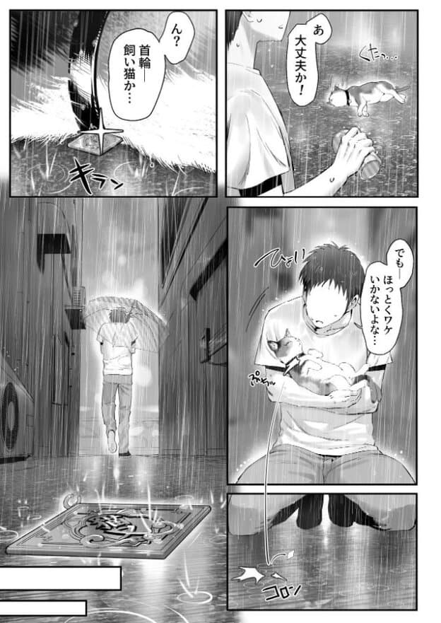 首輪を着けた猫が雨に濡れた路上で横たわり、男性が缶を手に近づいている。別の描写では男性が両腕で猫を抱えており、猫は目を閉じたまま身体を丸めている。